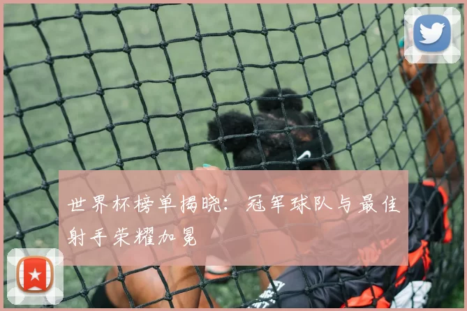 世界杯榜单揭晓:冠军球队与最佳射手荣耀加冕