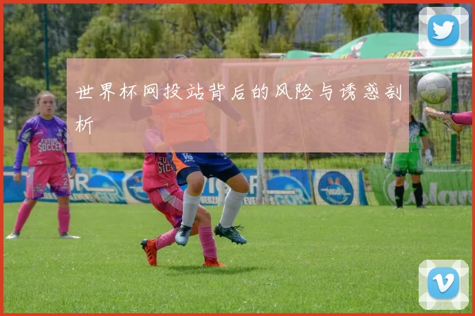 世界杯网投站背后的风险与诱惑剖析