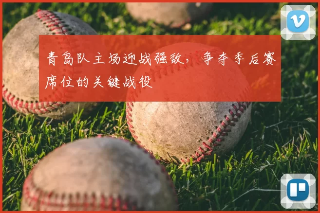 青岛队主场迎战强敌,争夺季后赛席位的关键战役