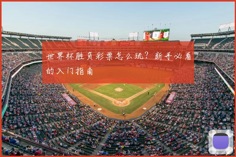世界杯胜负彩票怎么玩？新手必看的入门指南
