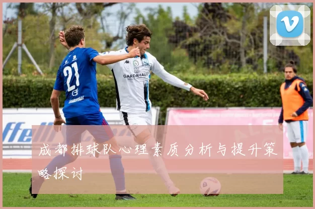 成都排球队心理素质分析与提升策略探讨