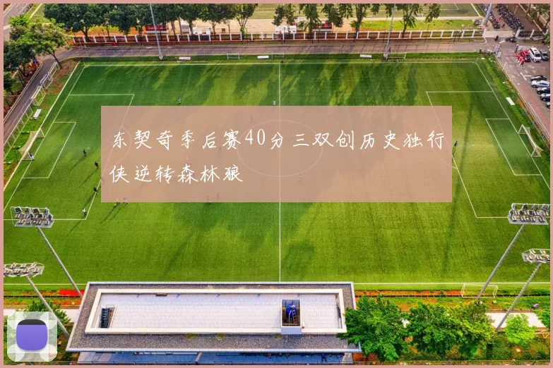 东契奇季后赛40分三双创历史独行侠逆转森林狼