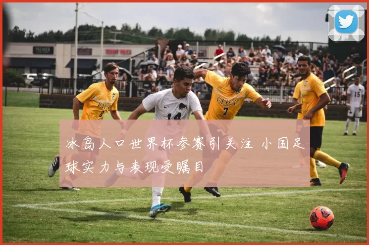 冰岛人口世界杯参赛引关注 小国足球实力与表现受瞩目