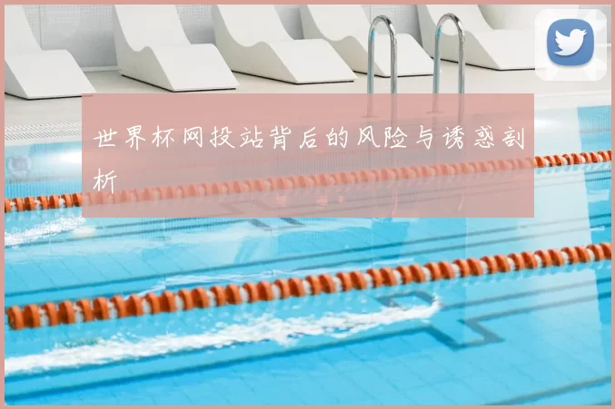 世界杯网投站背后的风险与诱惑剖析