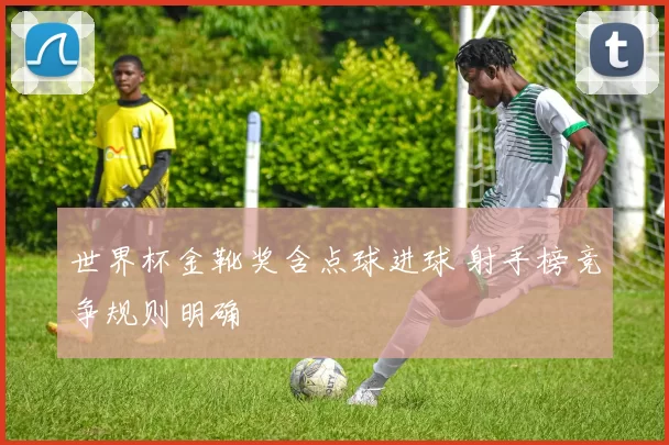 世界杯金靴奖含点球进球 射手榜竞争规则明确